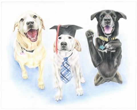 Hand Drawn Colored Pencil Portraits from Photos | Colored Pencil Drawings from Photos