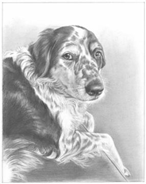 Hand Drawn Pencil Portraits from Photos | Pencil Portrait Drawing | Pencil Sketch Artists
