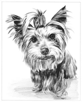Hand Painted Ink Rendering Portraits from Photos