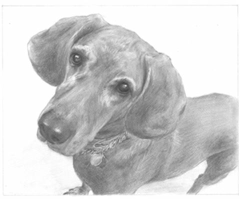 Hand Drawn Pencil Portraits from Photos | Pencil Portrait Drawing | Pencil Sketch Artists