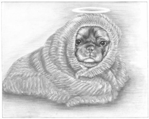 Hand Drawn Pencil Portraits from Photos | Pencil Portrait Drawing | Pencil Sketch Artists