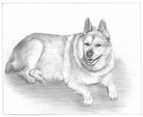 Hand Drawn Pencil Portraits from Photos | Pencil Portrait Drawing | Pencil Sketch Artists