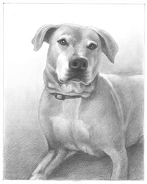 Hand Drawn Pencil Portraits from Photos | Pencil Portrait Drawing | Pencil Sketch Artists