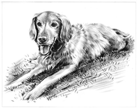 Hand Painted Ink Rendering Portraits from Photos