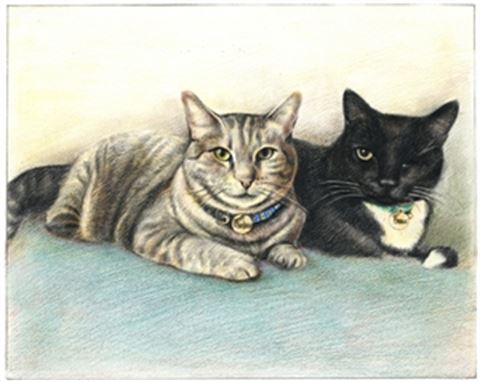 Hand Drawn Colored Pencil Portraits from Photos | Colored Pencil Drawings from Photos