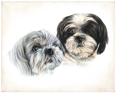 Hand Drawn Colored Pencil Portraits from Photos | Colored Pencil Drawings from Photos
