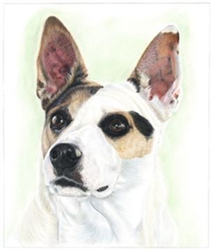 Hand Drawn Colored Pencil Portraits from Photos | Colored Pencil Drawings from Photos
