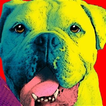 1 Panel Pop Art Portraits from Photos
