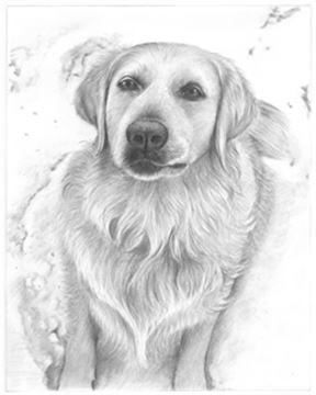Hand Drawn Pencil Portraits from Photos | Pencil Portrait Drawing | Pencil Sketch Artists