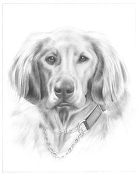 Hand Drawn Pencil Portraits from Photos | Pencil Portrait Drawing | Pencil Sketch Artists