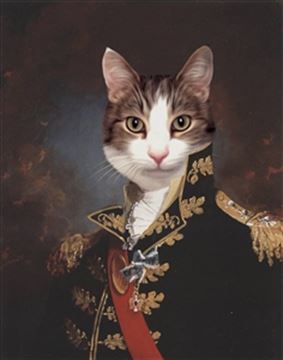 Personalized Masterpiece Major General from Photo