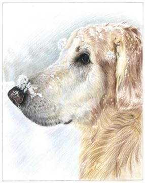 Hand Drawn Colored Pencil Portraits from Photos | Colored Pencil Drawings from Photos