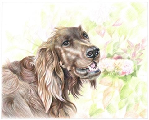Hand Drawn Colored Pencil Portraits from Photos | Colored Pencil Drawings from Photos
