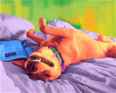 1 Panel Pop Art Portraits from Photos
