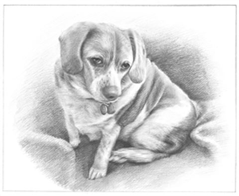 Hand Drawn Pencil Portraits from Photos | Pencil Portrait Drawing | Pencil Sketch Artists