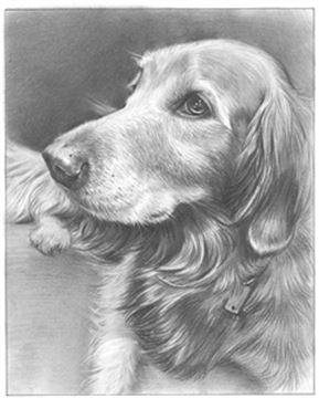 Hand Drawn Pencil Portraits from Photos | Pencil Portrait Drawing | Pencil Sketch Artists
