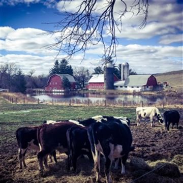 Print Photos On Canvas, Premium Photo Paper, or Fine Art Paper