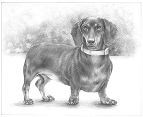 Hand Drawn Pencil Portraits from Photos | Pencil Portrait Drawing | Pencil Sketch Artists