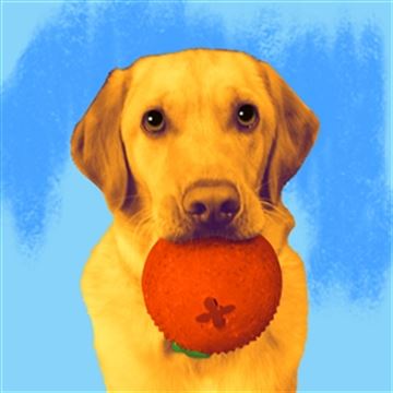 1 Panel Pop Art Portraits from Photos