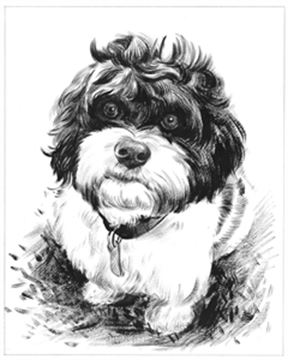 Hand Painted Ink Rendering Portraits from Photos