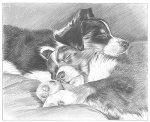 Hand Drawn Pencil Portraits from Photos | Pencil Portrait Drawing | Pencil Sketch Artists