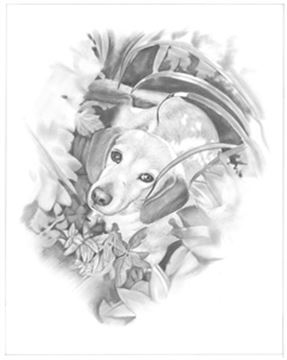 Hand Drawn Pencil Portraits from Photos | Pencil Portrait Drawing | Pencil Sketch Artists