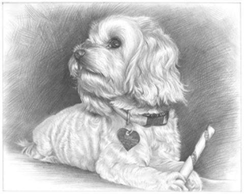 Hand Drawn Pencil Portraits from Photos | Pencil Portrait Drawing | Pencil Sketch Artists
