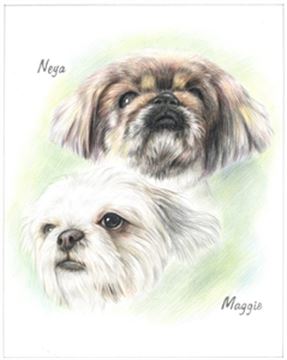 Hand Drawn Colored Pencil Portraits from Photos | Colored Pencil Drawings from Photos