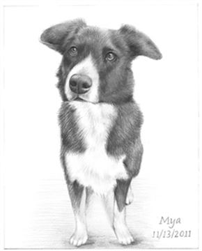 Hand Drawn Pencil Portraits from Photos | Pencil Portrait Drawing | Pencil Sketch Artists