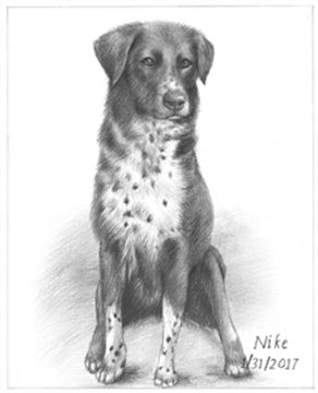 Hand Drawn Pencil Portraits from Photos | Pencil Portrait Drawing | Pencil Sketch Artists