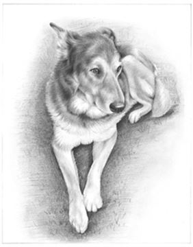 Hand Drawn Pencil Portraits from Photos | Pencil Portrait Drawing | Pencil Sketch Artists