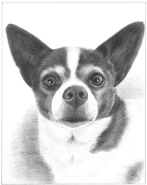Hand Drawn Pencil Portraits from Photos | Pencil Portrait Drawing | Pencil Sketch Artists