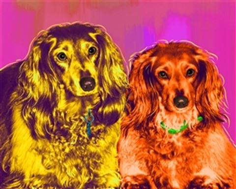 1 Panel Pop Art Portraits from Photos