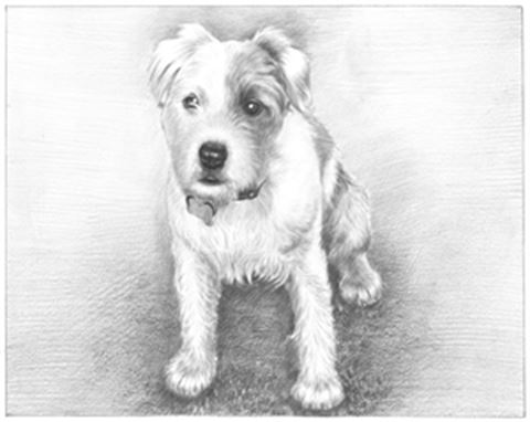 Hand Drawn Pencil Portraits from Photos | Pencil Portrait Drawing | Pencil Sketch Artists