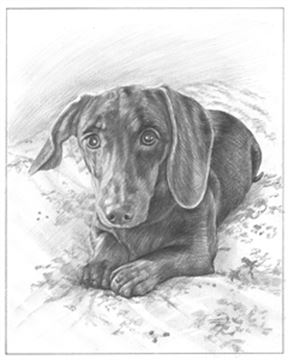Hand Drawn Pencil Portraits from Photos | Pencil Portrait Drawing | Pencil Sketch Artists