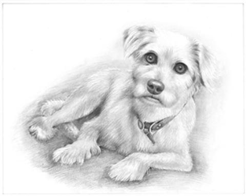 Hand Drawn Pencil Portraits from Photos | Pencil Portrait Drawing | Pencil Sketch Artists