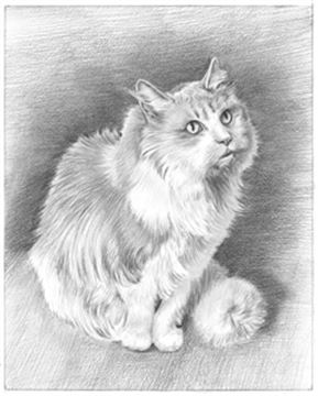Hand Drawn Pencil Portraits from Photos | Pencil Portrait Drawing | Pencil Sketch Artists