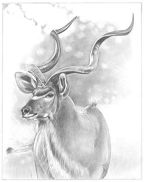 Hand Drawn Pencil Portraits from Photos | Pencil Portrait Drawing | Pencil Sketch Artists