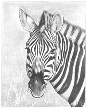 Hand Drawn Pencil Portraits from Photos | Pencil Portrait Drawing | Pencil Sketch Artists