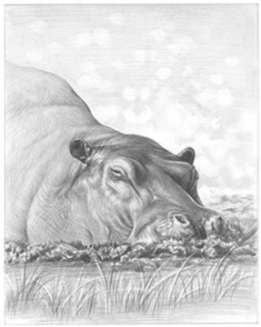 Hand Drawn Pencil Portraits from Photos | Pencil Portrait Drawing | Pencil Sketch Artists