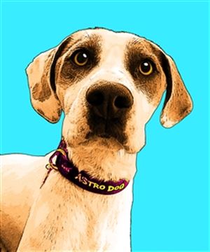 1 Panel Pop Art Portraits from Photos