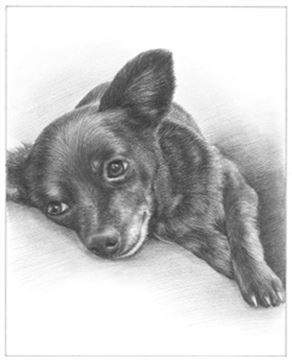 Hand Drawn Pencil Portraits from Photos | Pencil Portrait Drawing | Pencil Sketch Artists
