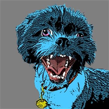 1 Panel Pop Art Portraits from Photos