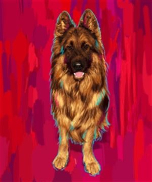 1 Panel Pop Art Portraits from Photos