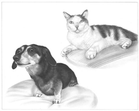 Hand Drawn Pencil Portraits from Photos | Pencil Portrait Drawing | Pencil Sketch Artists