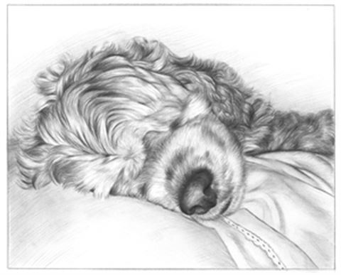 Hand Drawn Pencil Portraits from Photos | Pencil Portrait Drawing | Pencil Sketch Artists