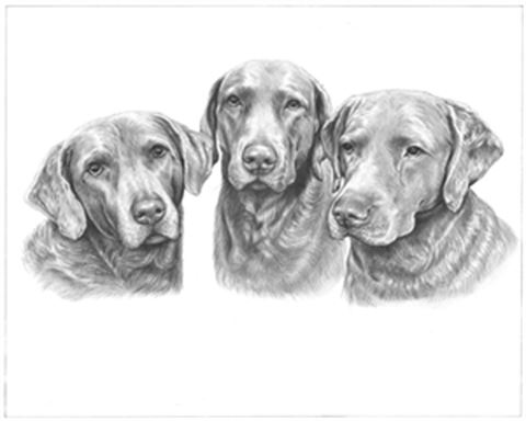 Hand Drawn Pencil Portraits from Photos | Pencil Portrait Drawing | Pencil Sketch Artists