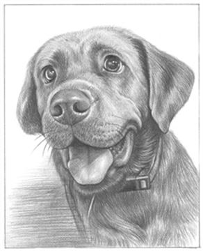 Hand Drawn Pencil Portraits from Photos | Pencil Portrait Drawing | Pencil Sketch Artists