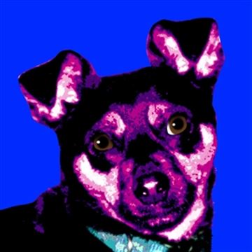 1 Panel Pop Art Portraits from Photos