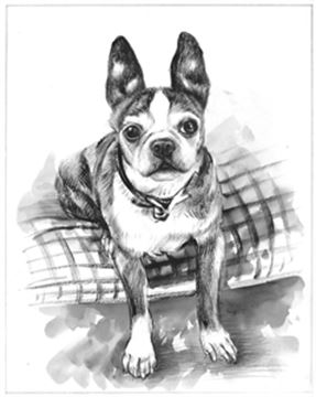 Hand Painted Ink Rendering Portraits from Photos